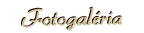 fotogaléria